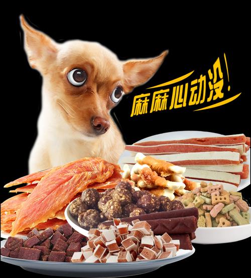 狗狗零食挑選指南 從磨牙棒到肉干，為泰迪選對(duì)每一口